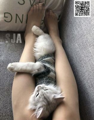 日本动漫在线观看网址_高清全集免费播放
